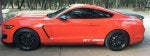 Car Wheel Tire Vehicle Hood